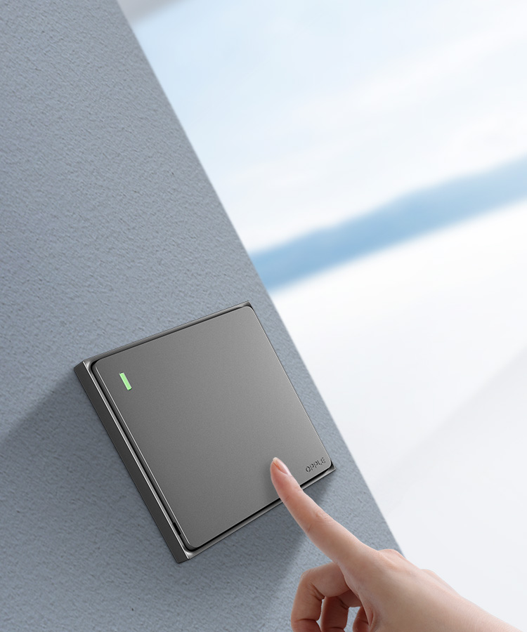 純平開關 悅繹系列